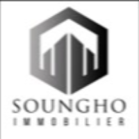 Soungho Immobilier SARL - SenHubImmo.com