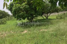 Terrain Agricole 1,01 hectare à vendre à Keur Mor Ndiaye