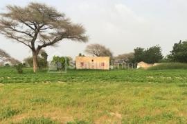 Terrain Agricole de 1,60 hectare à Keur Cheikh Madiop