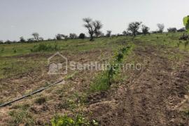Location Ferme Agricole de 3,7 hectares à Thiénaba