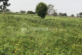 Terrain Agricole de 2,39 hectares à Louly Bentagne