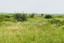 Terrain Agricole de 2,03 hectares à Toubab Dialaw