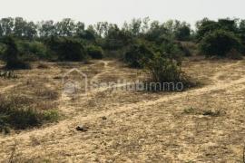 Terrain Agricole de 1,6 hectare à Diender