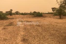 Terrain Agricole de 3,5 hectares à Thiénaba