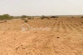 Terrain Agricole de 8,8 hectares à Diama
