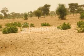 Terrain Agricole de 09 hectares à Thiénaba