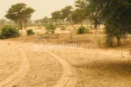 Terrain Agricole de 04 hectares à Thiénaba