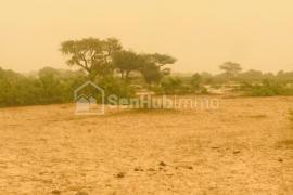 Terrain Agricole de 02 hectares à Thiénaba