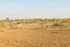 Terrain Agricole de 100 hectares à Touba Toul