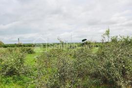 Terrain Agricole de 2,06 hectares à Notto Gouye Diama