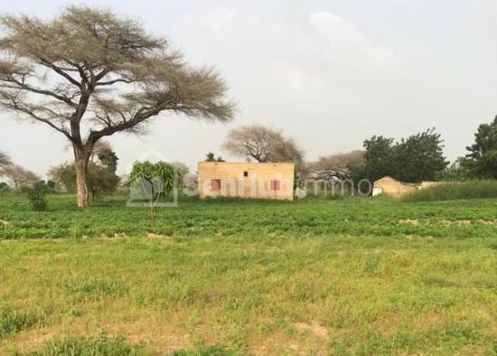 Terrain Agricole de 1,60 hectare à Keur Cheikh Madiop