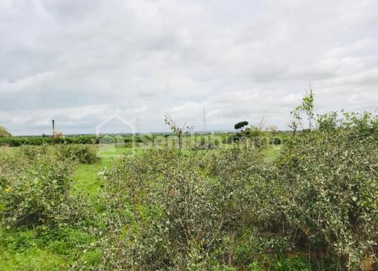 Terrain Agricole de 2,06 hectares à Notto Gouye Diama