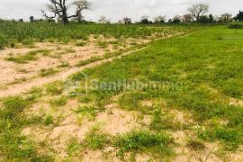 Terrain Agricole de 9507 m² à Tassette