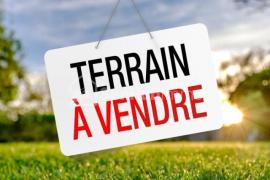 VENTE DE 10 HECTARES A BAMBILOR  LE M2 /12000FCFA