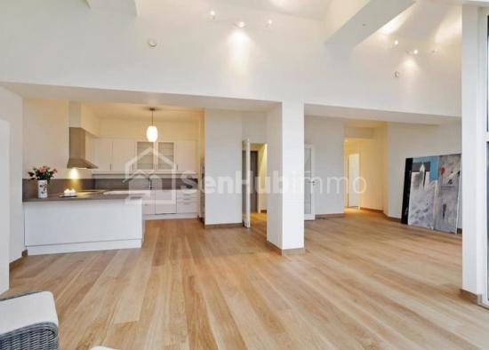 APPARTEMENT A LOUER