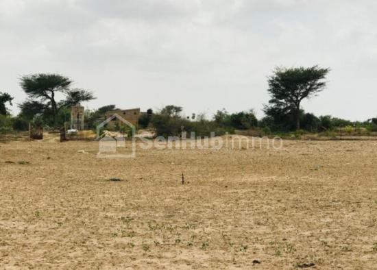 Terrain Agricole de 3,5 hectares à Fandéne