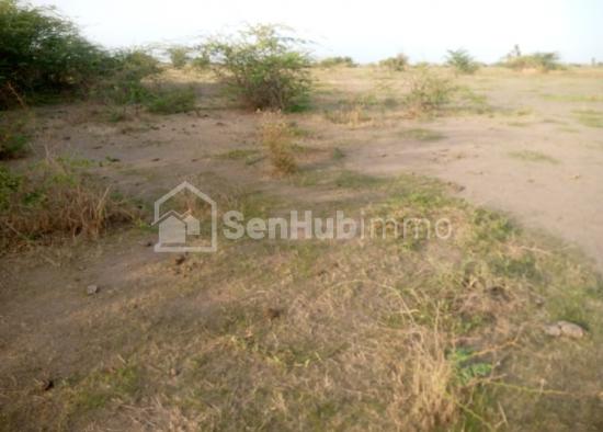Terrain Agricole de 1,5 hectare à Ngueniene