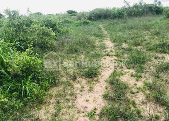 Terrain Agricole de 1,62 hectare à Notto Gouye Diama